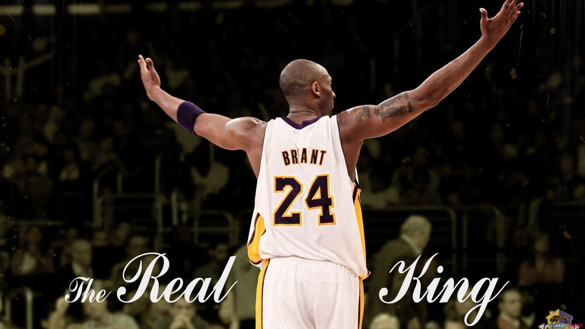 卡普尔的突破、传球与防守三位一体，为袋鼠队创造全新战术空间