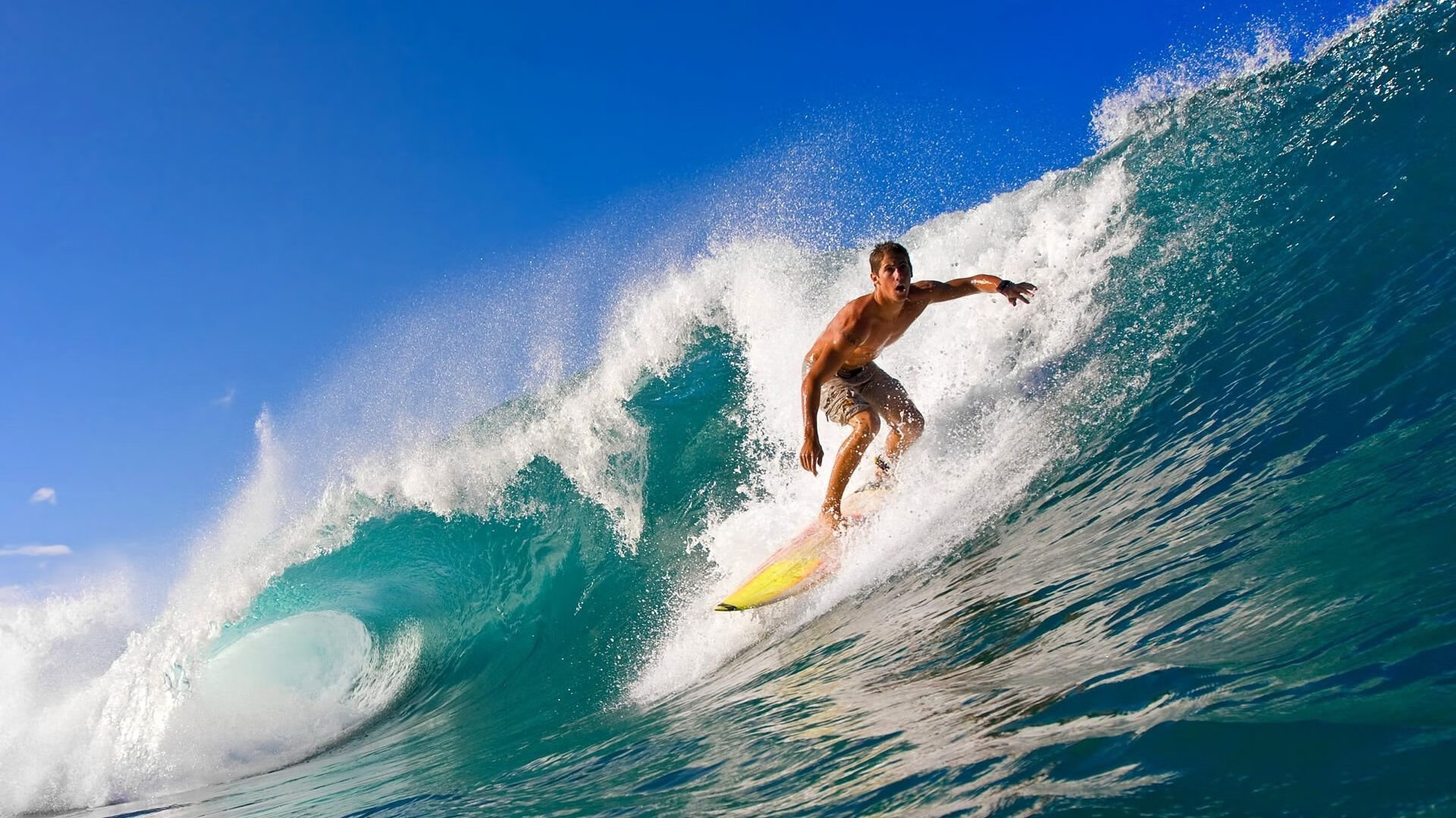 曼联在英超强势反弹,争夺榜首位置