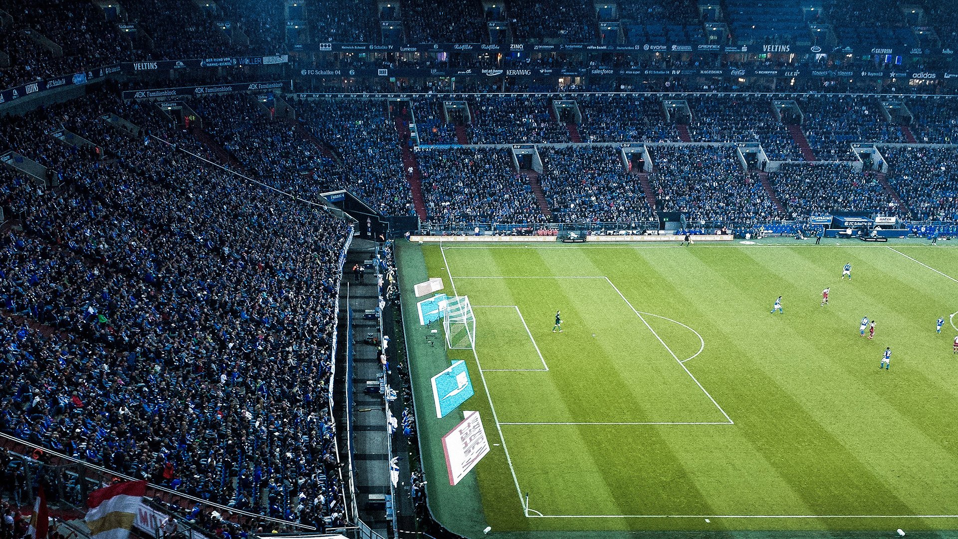 蝶泳赛场中立代表队A选手爆发力强,蝶泳 比赛